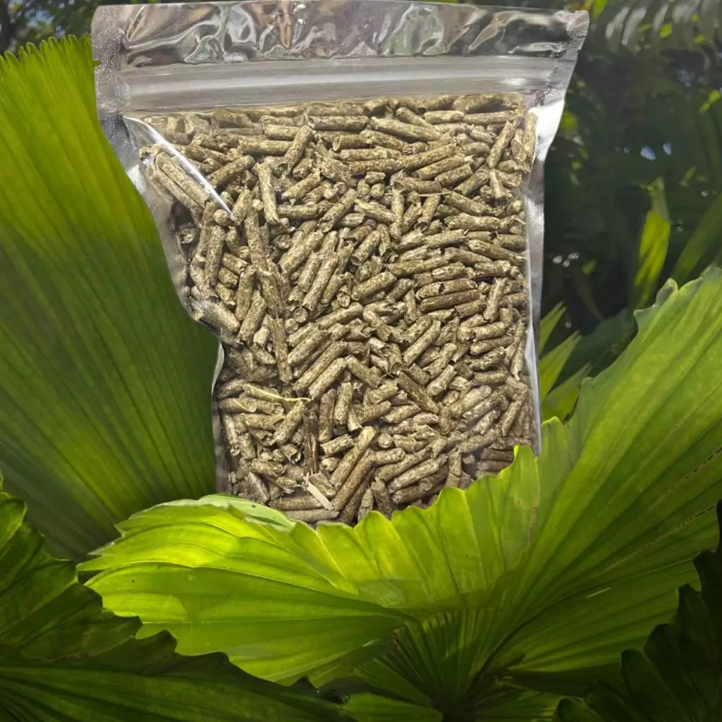 หญ้าเนเปียร์ อัดเม็ดสำหรับกระต่ายและเต่า - อาหารที่มีไฟเบอร์สูง ระบบย่อยอาหารดี-ทางเลือกแทนหญ้าอัลฟัลฟา - 100% ธรรมชาติ ภาพที่ 2
