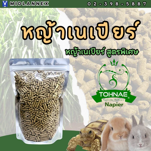 หญ้าเนเปียร์ อัดเม็ดสำหรับกระต่ายและเต่า - อาหารที่มีไฟเบอร์สูง ระบบย่อยอาหารดี-ทางเลือกแทนหญ้าอัลฟัลฟา - 100% ธรรมชาติ ภาพที่ 3
