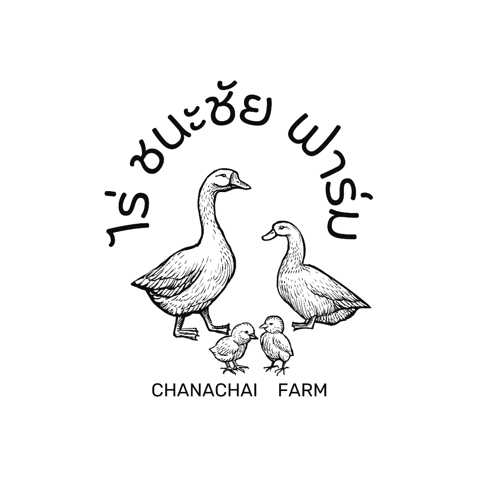 ไข่เชื้อเป็ดอี้เหลียง (เป็ดไข่กึ่งเป็ดเนื้อ) 1ฟอง โตไวมาก เป็ดอี้เหลียง เลี้ยงง่าย โตเร็ว เนื้อนุ่ม ไข่ดก ภาพที่ 2