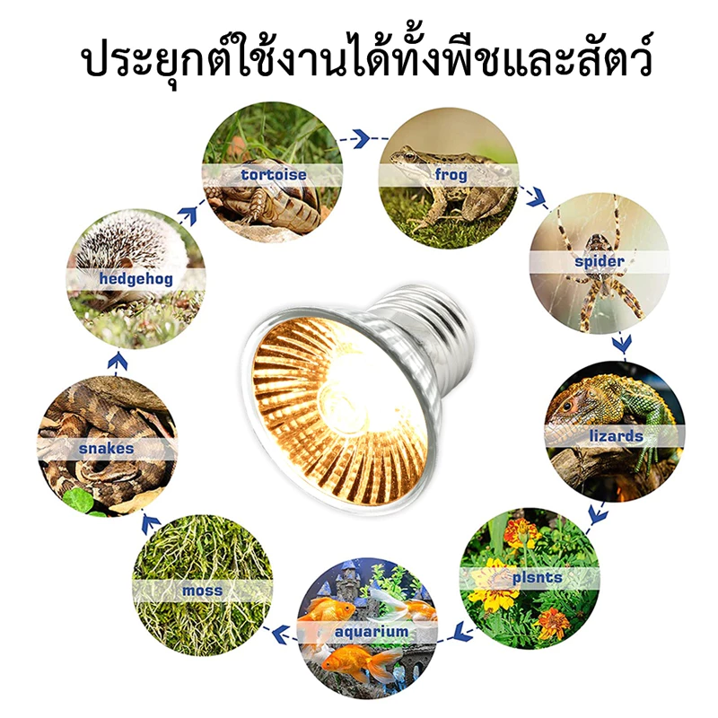 หลอดไฟให้ความร้อน MiniSun UVA​/UVB​ 3.0​ 25W/50W/75W​ สำหรับเต่าน้ำ​​ เต่าบก​ สัตว์เลื้อยคลาน E27 ขั้วหลอดไฟเซรามิค ภาพที่ 3