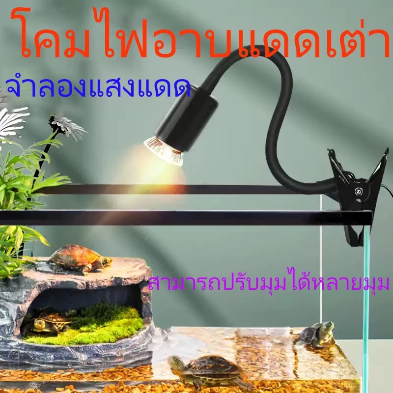 หลอดไฟให้ความร้อน MiniSun UVA​/UVB​ 3.0​ 25W/50W/75W​ สำหรับเต่าน้ำ​​ เต่าบก​ สัตว์เลื้อยคลาน E27 ขั้วหลอดไฟเซรามิค ภาพที่ 5