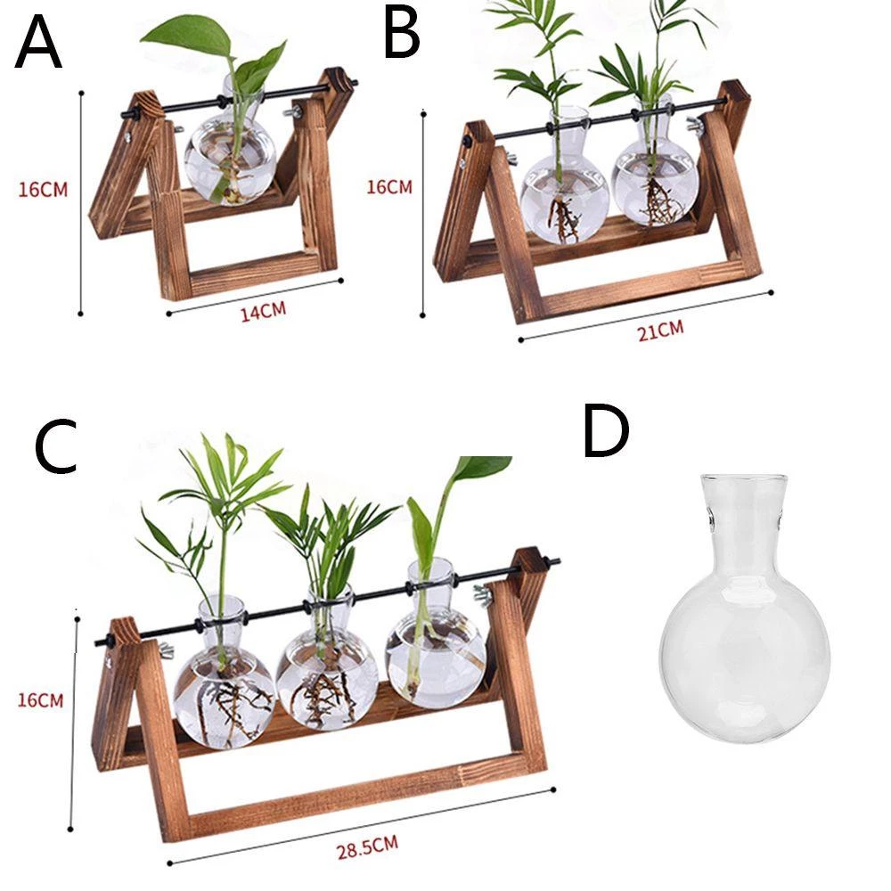 BREWZY Hydroponic แจกันพืชตกแต่งบอนไซ Terrarium โต๊ะดอกไม้หม้อ ภาพที่ 2