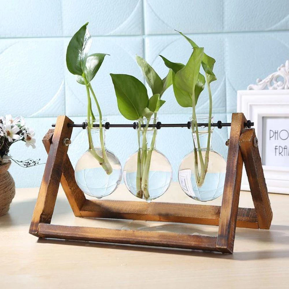 BREWZY Hydroponic แจกันพืชตกแต่งบอนไซ Terrarium โต๊ะดอกไม้หม้อ ภาพที่ 4