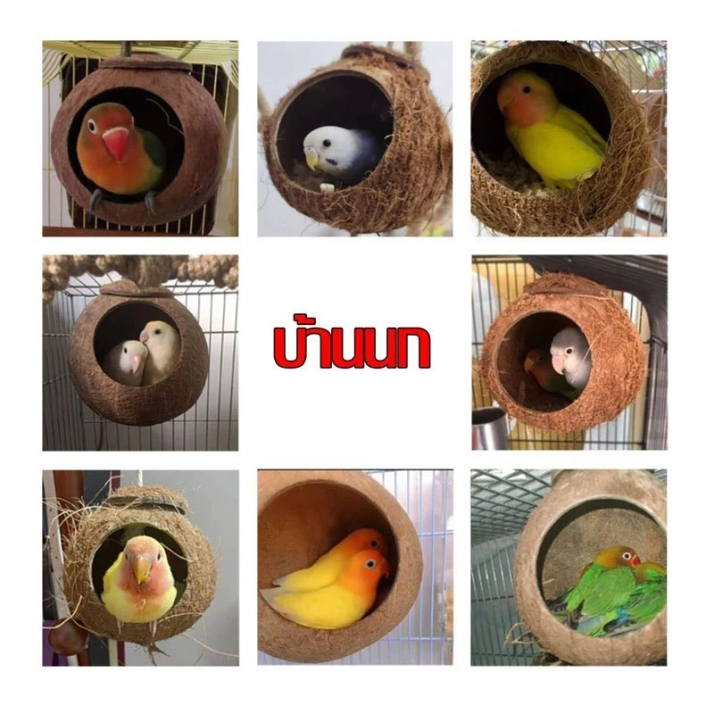 บ้านนกหงษ์หยก บ้านกะลา รังนกหงษ์หยก บ้านนก รังนก ที่นอนชูการ์ บ้านกระรอก บ้านนกแบบแขวน ที่นอนสัตว์เลี้ยง ภาพที่ 4