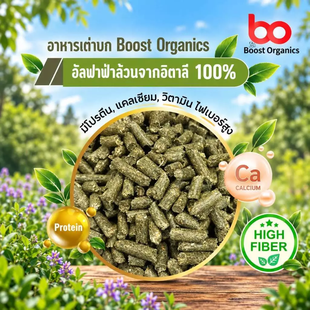 เกรดพรีเมี่ยม]อัลฟาฟ่าอัดเม็ด100% จากอิตาลี่ เหมาะกับเต่าบกและสัตว์กินพืช สัตว์ฟันแทะ Alfalfa Pellet ภาพที่ 3