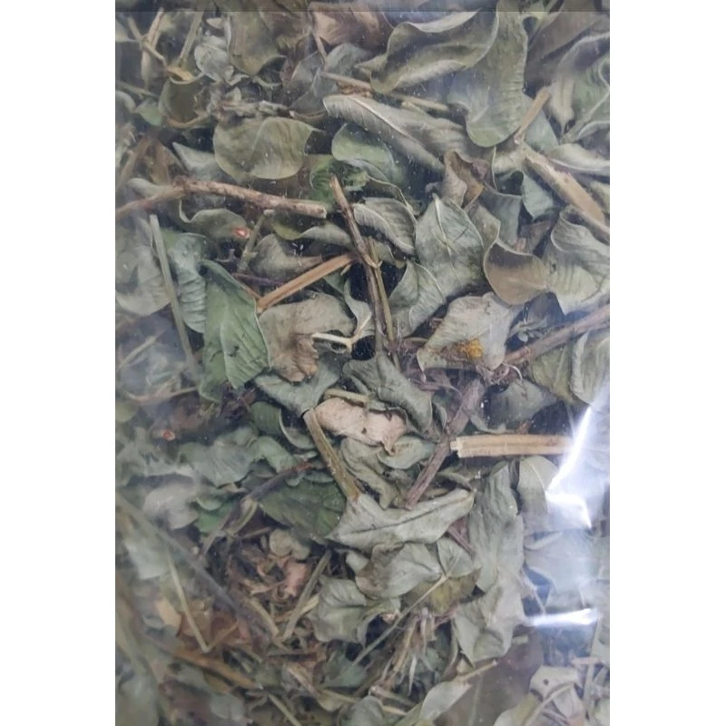 ถั่วพินตอย 150 g หญ้าถั่ว หญ้ากระต่าย แกสบี้ แฮมเสตอร์ เฟอเรท ชินชิล่า แพรี่ด๊อก สัตว์ฟันแทะ เต่าบก ภาพที่ 2