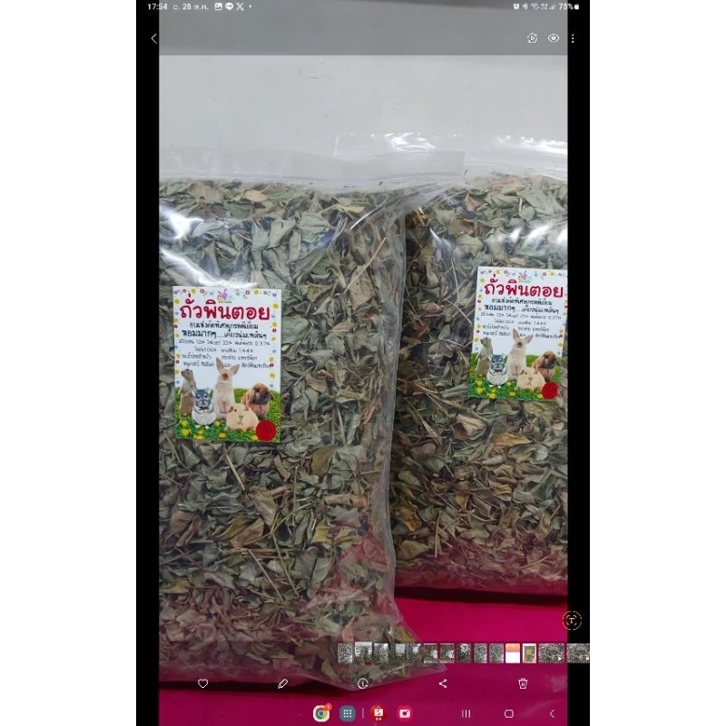 ถั่วพินตอย 150 g หญ้าถั่ว หญ้ากระต่าย แกสบี้ แฮมเสตอร์ เฟอเรท ชินชิล่า แพรี่ด๊อก สัตว์ฟันแทะ เต่าบก ภาพที่ 3