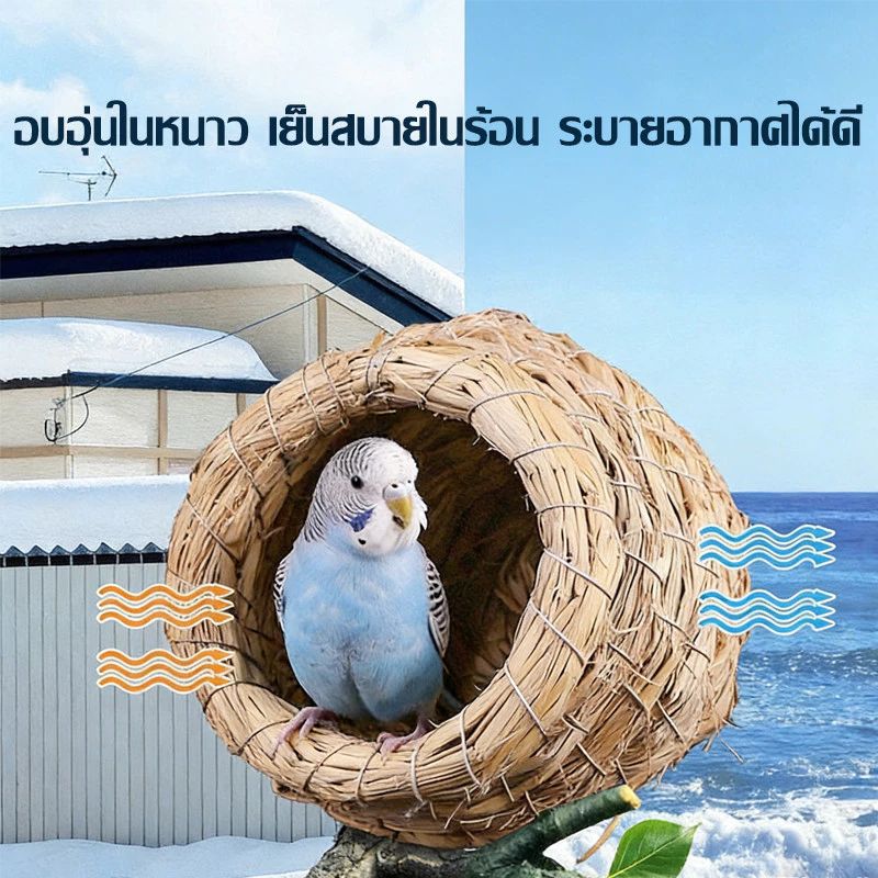 บ้านนก รังนกทำจากหญ้า บ้านหญ้านก บ้านกะลา บ้านนกแก้ว บ้านกระรอก กะลาธรรมชาติ รังนอน ทำจากหญ้าธรรมชาติ ภาพที่ 5