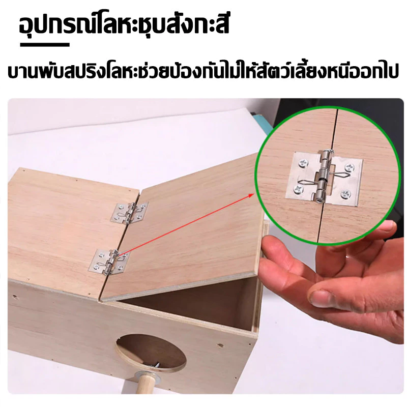 รังเพาะนก รังไข่นก กล่องเพาะนก บ้านนก รังเพาะนกเเก้ว ฟินซ์ เลิฟเบิร์ด กรีนชีค ฟอพัส หงส์หยก ภาพที่ 4