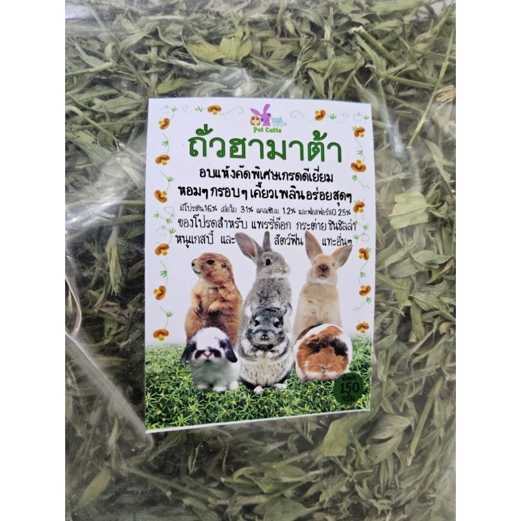 หญ้าถั่วฮามาต้า Hamata สำหรับกระต่าย หนูแกสบี้ แฮมสเตอร์ เฟอร์เรท ชินชิล่า แพรี่ด๊อก เต่าบก สัตว์ฟันแทะ ภาพที่ 5
