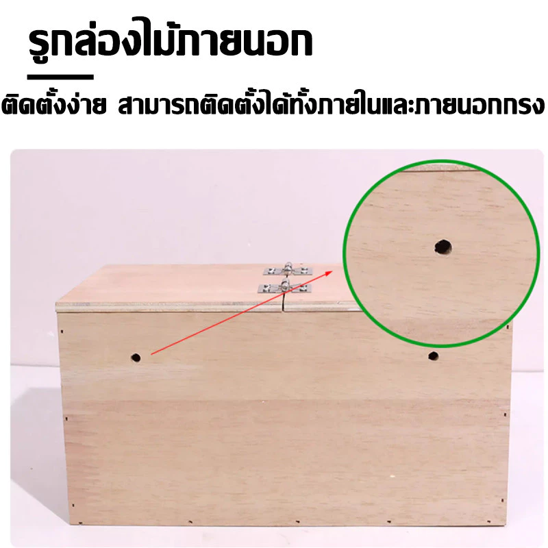 รังเพาะนก รังเพาะนกแก้ว รังไข่นก กล่องเพาะนก บ้านนก รังเพาะนกเเก้ว ฟินซ์ เลิฟเบิร์ด กรีนชีค ฟอพัส หงส์หยก ภาพที่ 5