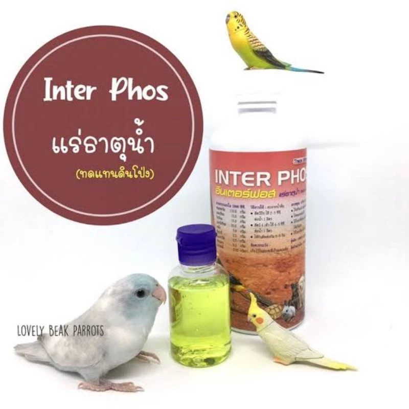 [100 ml.] อาหารเสริมนก แร่ธาตุน้ำ INTER PHOS สำหรับ นก นกแก้ว นกหงส์หยก นกเลิฟเบิร์ด นกค็อกคาเทล วิตามินนก บำรุงนก ภาพที่ 2