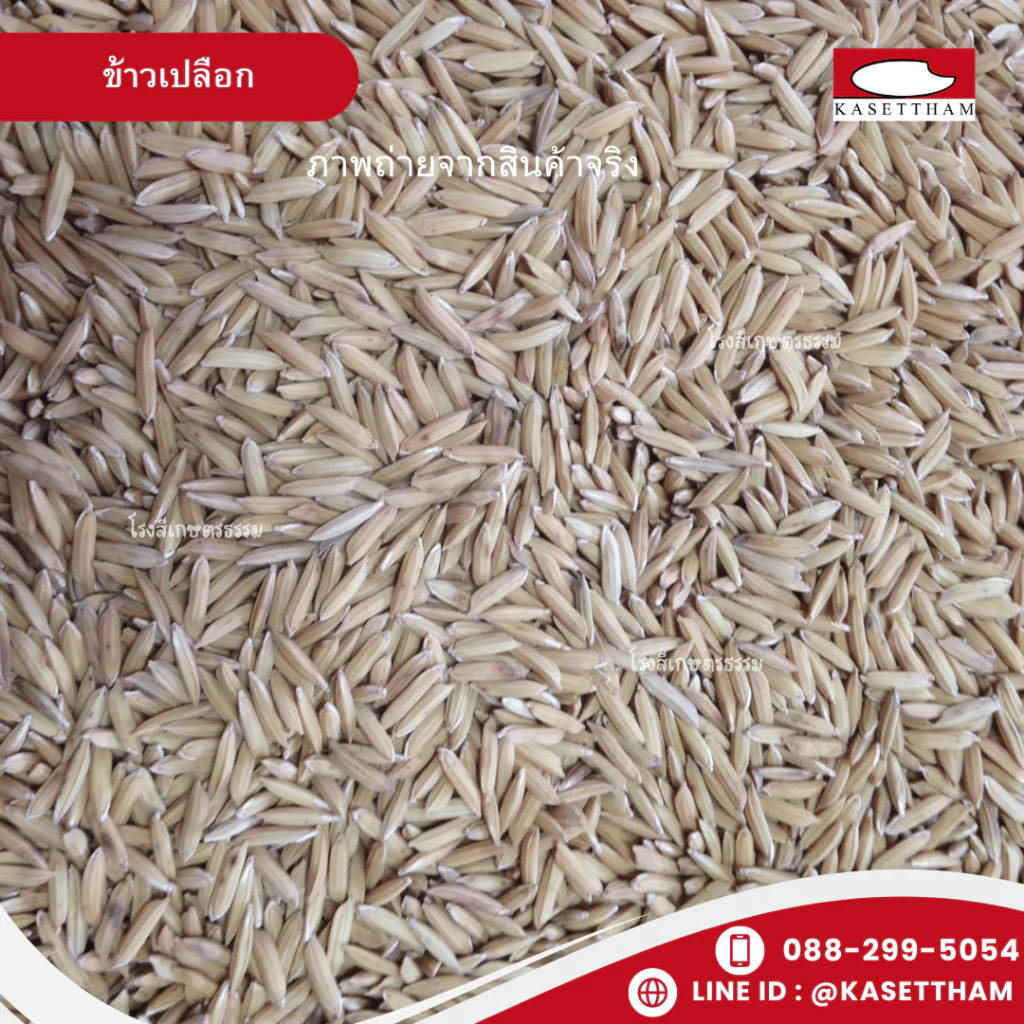 4.9 กก. ข้าวเปลือกไก่ชน สะอาดพิเศษ ตราไก่ชนบุเรงนอง คุณภาพดีราคาโรงสี ส่งฟรี ภาพที่ 2