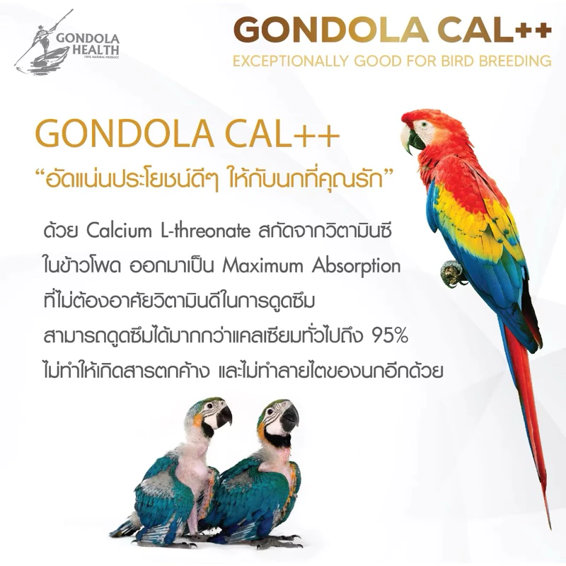 ap Gondola Cal++ กอนโดล่า 300g./120g./25g. แคลเซียมนกแก้ว แคลเซียมนกปากขอ อาหารเสริมนก อาหารเสริมบำรุงนก เพิ่มแคลเซียม ภาพที่ 5