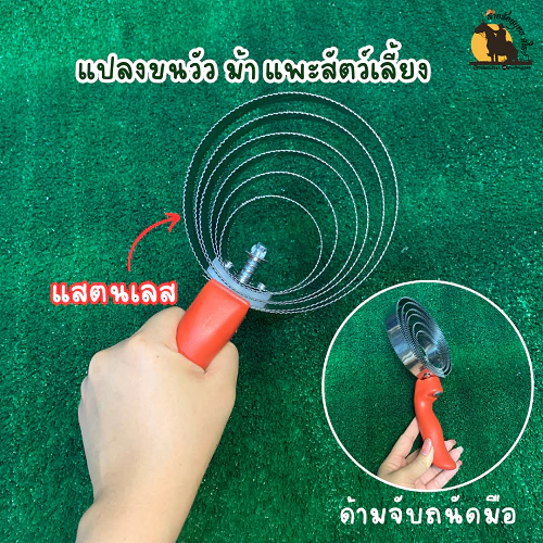 แปรงเกาวัว เกาม้า เกาแพะ เกาสัตว์เลี้ยง ขนาด 6 วง สแตนเลส ไม่เป็นสนิม [ส่งจากไทย] ภาพที่ 3