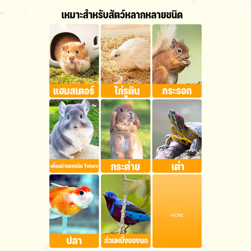 1500ml อาหารหนูแฮมเตอร์ หนอนอาหาร หนอนอบแห้ง สัตว์เลี้ยงแมลงแห้ง หนอนนก หนอนแว๊กรำข้าวสาลีอบแห้ง ภาพที่ 3