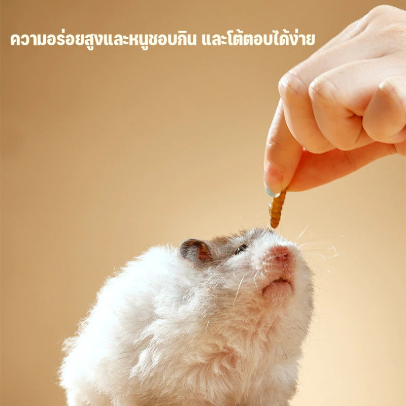 1500ml อาหารหนูแฮมเตอร์ หนอนอาหาร หนอนอบแห้ง สัตว์เลี้ยงแมลงแห้ง หนอนนก หนอนแว๊กรำข้าวสาลีอบแห้ง ภาพที่ 4