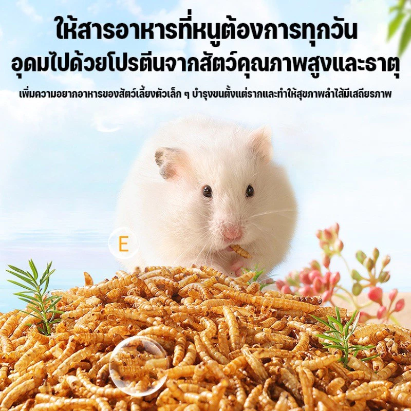 หนอนอาหาร หนอนอบแห้ง หนอนอาหารแห้ง อาหารหนูแฮมเตอร์ สัตว์เลี้ยงแมลงแห้ง หนอนนก 1500ml ภาพที่ 2