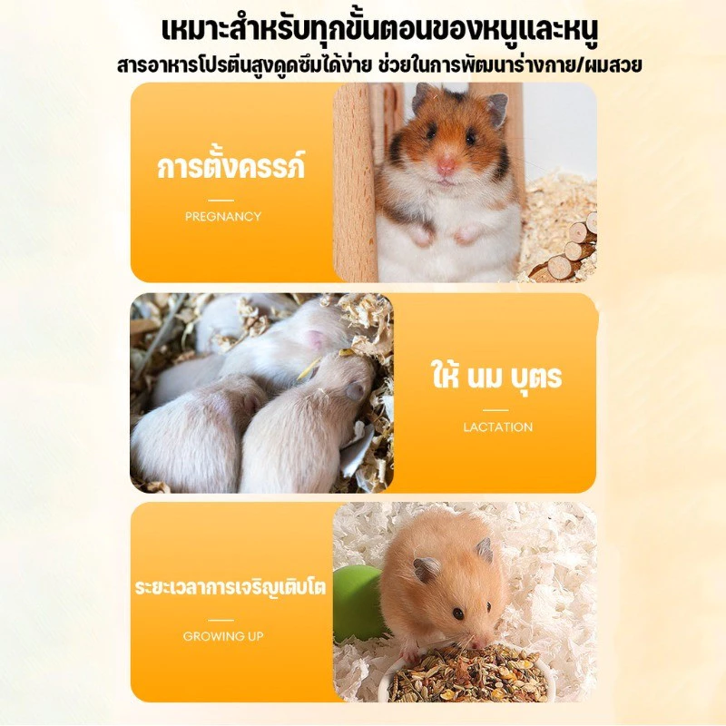 หนอนอาหาร หนอนอบแห้ง หนอนอาหารแห้ง อาหารหนูแฮมเตอร์ สัตว์เลี้ยงแมลงแห้ง หนอนนก 1500ml ภาพที่ 3